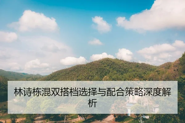 林诗栋混双搭档选择与配合策略深度解析